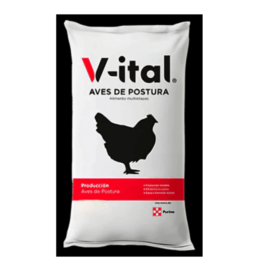 V-ITAL POSTURA 1 KG.