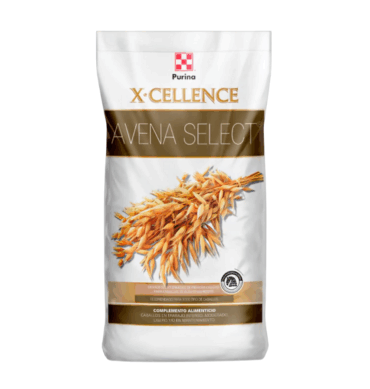 AVENA SELECTA 1 KG.