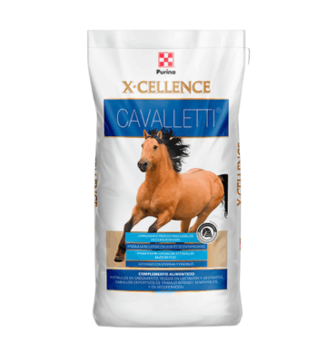 CAVALLETTI 20 KG