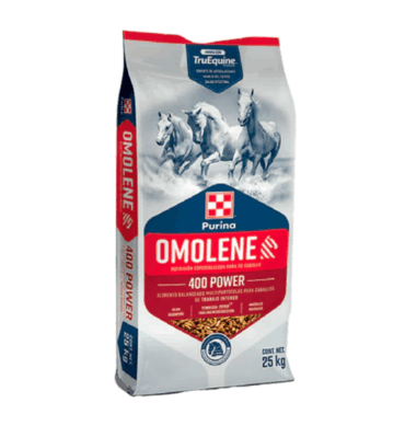 OMOLENE 400 25 KG (Power)
