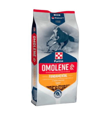 OMOLENE FUNDAMENTAL 25 KG