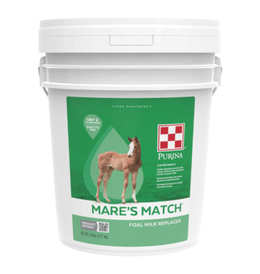 SUSTITUTO DE LECHE P/POTRILLO 20 KG