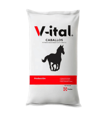 V-ITAL CABALLOS 40 KG