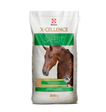 X-CELLENCE SAFEST 25 KG
