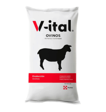 V-ITAL OVINOS 25 KG