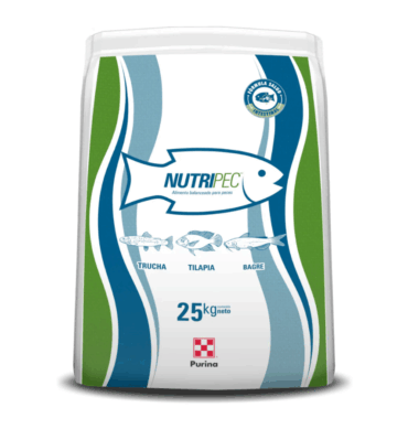 DESARROLLO 1.5 MM 25 KG 45%