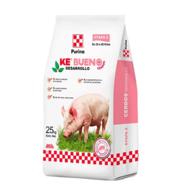KE BUENO DESARROLLO 25 KG