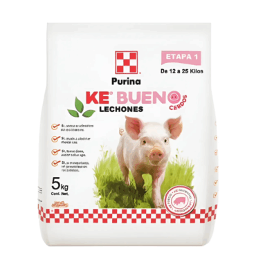 KE BUENO DESARROLLO 5 KG