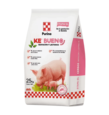 KE BUENO GESTACION/LACTACION 25 KG