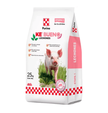 KE BUENO LECHONES 25 KG