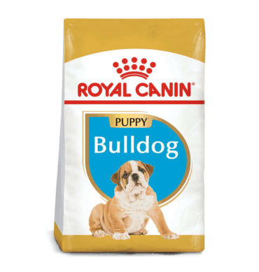 BHN BULDOG PUPPY 13.63 KG