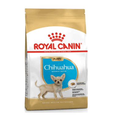 CHIHUAHUA PUPPY 1.13 KG