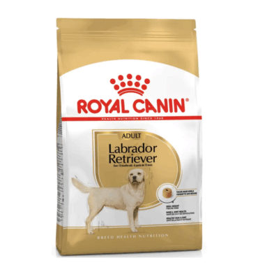 DOG LABRADOR RETRIEVER 13.63 KG