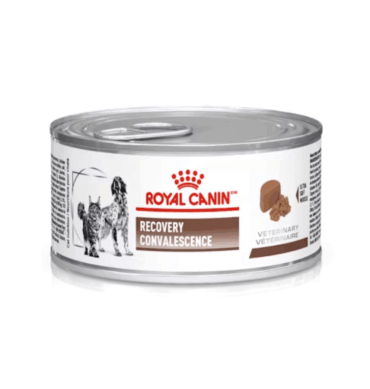 RECOVERY LATA FEL/CAN 145 GR