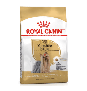 YORKSHIRE TERRIER 1.14 KG