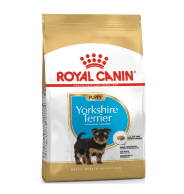 YORKSHIRE TERRIER PUPPY 1.13 KG.