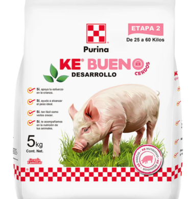 DESARROLLO P/CERDOS G.F. 25 KG (25-60)