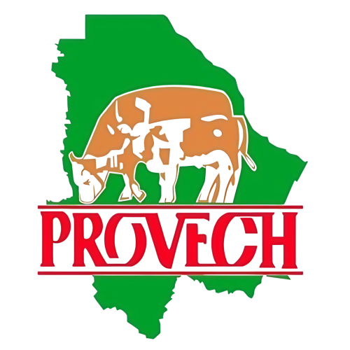 Diseño sin título(2)